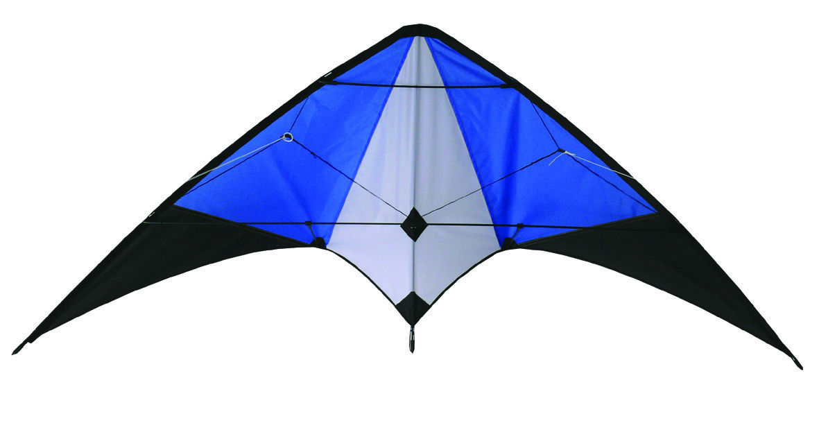 Classic style outdoor Delta sports kite colorfully with common size