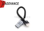 PBT / PA66 Auto Wiring Harness