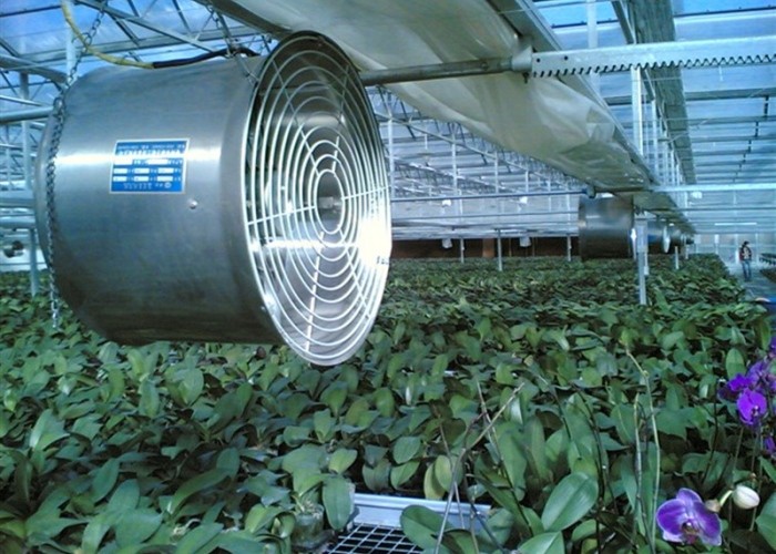 400mm Greenhouse Cooling Equipment Circulation Fan Indoor Greenhouse Ventilation Fan