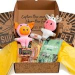 Personalised Christmas Dog Treat Box Subscription Chews Toys