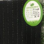 Fire Retardant Artificial Grass Soccer Field / Plastic Fake Grass Football Field