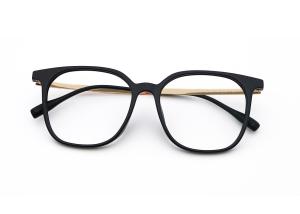Quality Unisex Youth Style Square TR+Beta Titanium Eyeglasses ZTO 1024 wholesale