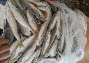 Quality Fresh Seafood Natural 70-80G Pacific Frozen Mackerel Fish wholesale