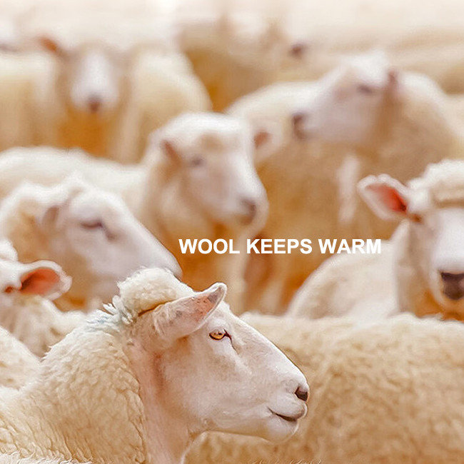 Breathable Thick Winter Socks Warm Merino Wool Crew Socks Custom
