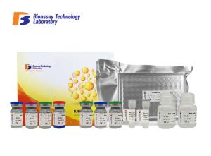 Quality Strong Sensitivity PRKA3 Enzyme Immunoassay Kit E6839Hu 2 Hours Assay Length wholesale
