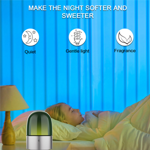 HOMEFISH 60ml Waterless Aroma Diffuser Scent Air Diffuser Machine OEM ODM