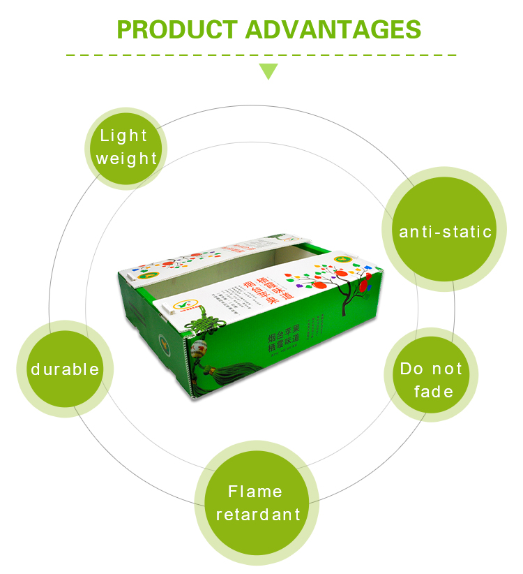Corruone Waterproof Folding Polypropylene Corrugated Plastic Fruits Vegetables Asparagus/Ginger/Taro/Okra Packing box