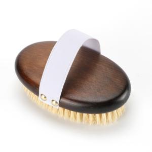 Quality Oval Beech Wood Handle Body Brush r Dry Skin Shower Back Brush wholesale