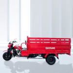 300cc Heavy Duty Q8 5 Wheels Motorized Cargo Tricycle for Passenger Transportati