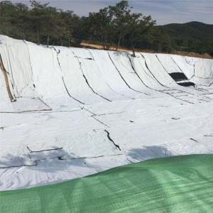Quality 200g Per M2 Filament PET PP Non Woven Geo Textile Fabric Geotextile wholesale