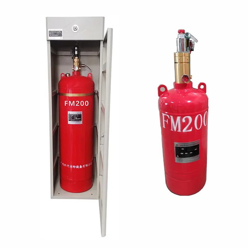 FM200 Cabinet System The Perfect Fire Safety Solution For Your Business