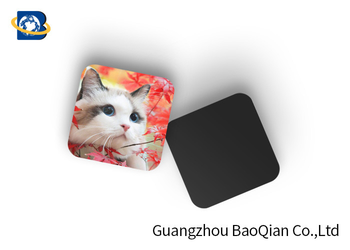 Pretty Cat 3D Image Full Color Custom Coasters , Custom Photo Drink Coasters