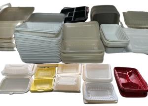 Quality Triple Screw Biodegradable Food Container Making Machine Equipment 55kw wholesale