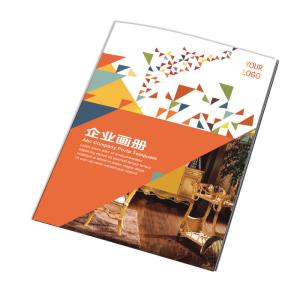 Quality Flyers Instruction Booklet Printing 128G 300G Screen Printing Brochure wholesale