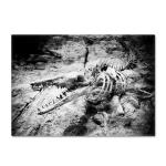 Cross border Skeleton Living Room Floor Mat Bedroom Restaurant Carpet Door Mat