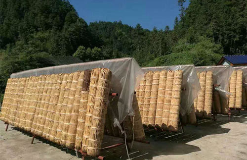 Bamboo Packaging Anhua Qiangliang Dark Tea High Grade Improve Immunity