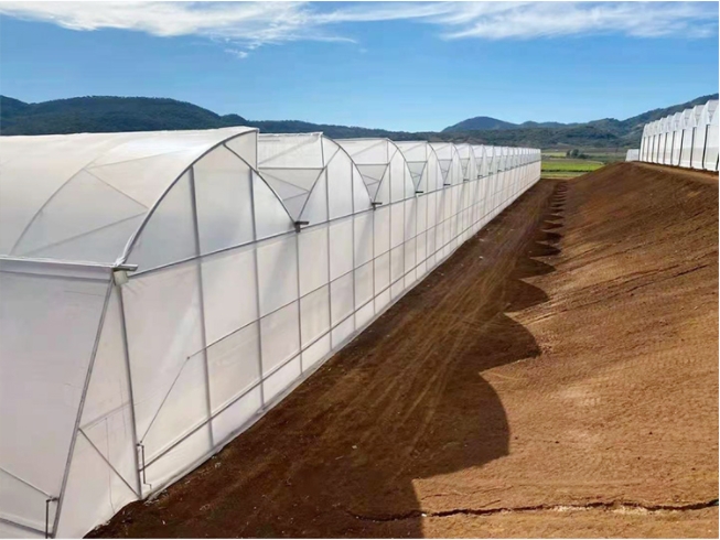 Large Sawtooth Greenhouse Shine Tech Poly Tunnel Tropical Greenhouse With Ventilation