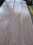 American Walnut Veneer