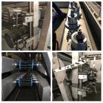 304 Stainless Steel Chicken Slaughtering Line 220V / 380V Poultry Killing