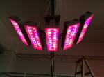 150W Round & rectangle grow light led plant grow light led grow lights, led grow
