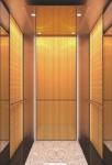 10 Persons Passenger Elevator CNAS Stainless Steel Lift Cabin