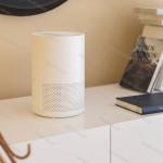 Small Size Personal Air Cleaner