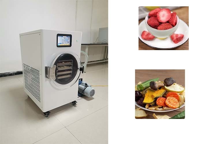 Preserve Your Food With Home Freeze Dryer 1600W On The Market