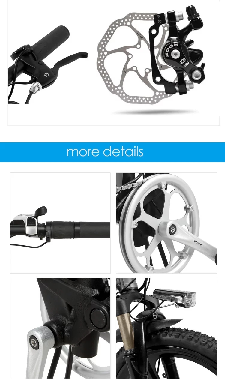 Anti Rust Foldable Electric Bike CE Certificate 20 Inch For Commuting