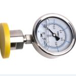 YNTP-60BF Stainless Steel Pressure Gauge