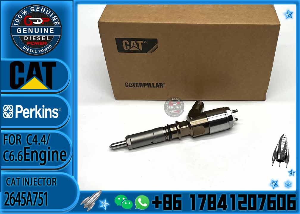 Diesel Fuel Injector 2645A751 321-3600 320-0677 320-0690 320-0680 2645A709 295-9130 382-0480