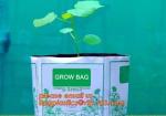 Planter Bags, Grow Bags, Cultivating Bags, Nursery Pot, Greenhouse, Agricultural