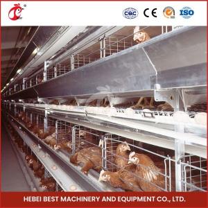 Quality Poultry Farming Customized Chicken Battery Cage 100kg Weight Mia wholesale