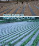 200 Micron Uv Resistant Film Greenhouse Perforated Mulch Agricultural Film