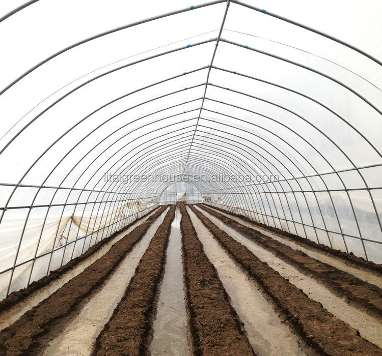 Large Height 3-10m Polytunnel Greenhouse The Ideal Growing Environment for Your Crops
