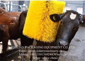 Quality Electric Motor Dairy Cow Scratching Brush For Animal Massagger , Cleaning wholesale