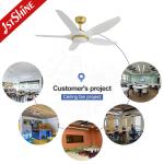5 Plastic Blade Ceiling Fan With Dimmable Led Light White Black DC Motor low