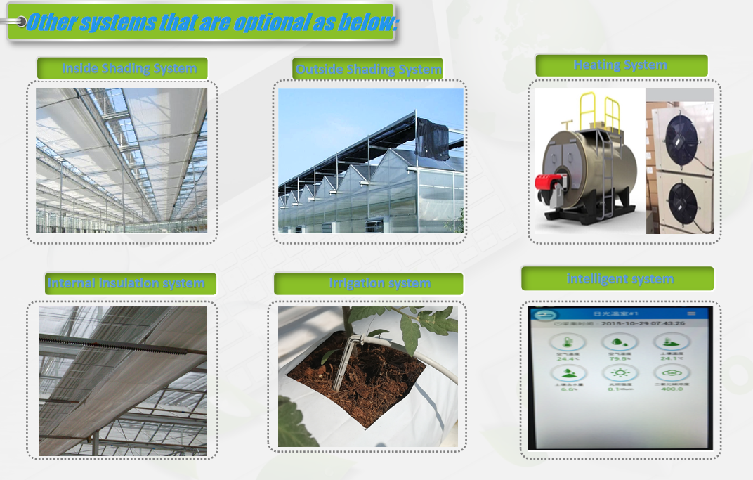 Customization Commercial Gothic Type Greenhouse With Electric Systems