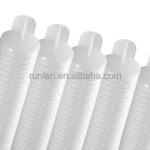 1 kg Double 0.22 Micron PES Membrane Filter Cartridge for Food Beverage Industry