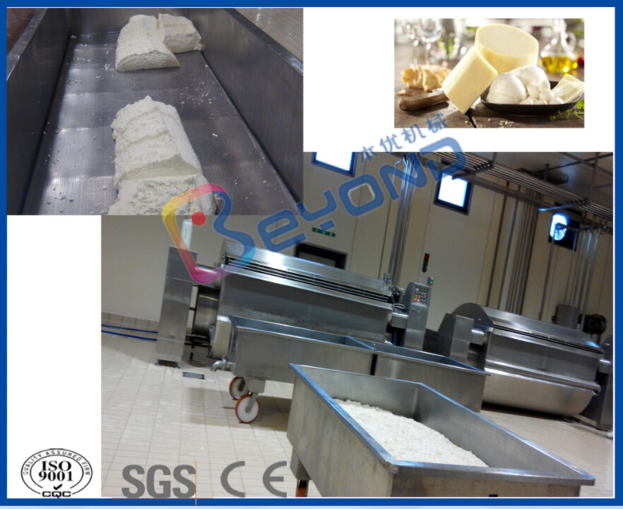 20000L/D Pasteurized Milk / Cheese Making Equipment For Turn Key Project