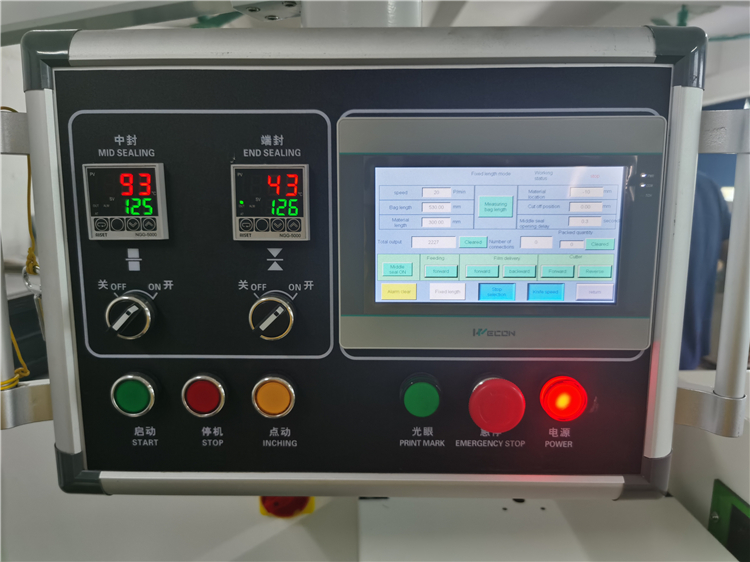 OEM Fruit Vegetable Packing Machine 600mm 100bags/min Pillow