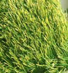 Anti Pet Friendly Fake Lawn / Dog Friendly Turf