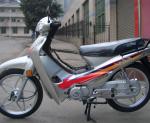 Stylish 110cc Road Legal Mini Moto Underbone Cub With Brushless Motor