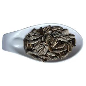 Quality Factory Bulk wholesale Sunflower Seeds Kernel/Sunflower Seeds Best seller on Amazon wholesale