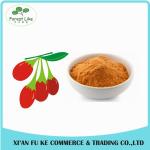 Hot Selling New Fresh Organic Dried Fruit Chinese Goji Berries