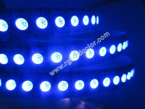 Quality apa102 digital pure blue led strip wholesale