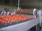 China Factory Customized Conveyor for Food Equipment Price / Bands Food Conveyor
