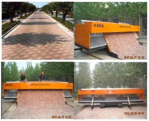 Quality Tiger Stone Machine Price wholesale