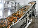 Fully Automatic Fruit Juice Manufacturing Plant Stainless Steel Material