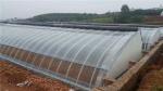 PE Single Layer Solar Tunnel Agricultural Greenhouse 4-6M Height