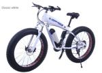 Brushless 26 Inch 1000w MTB Electric Bikes
